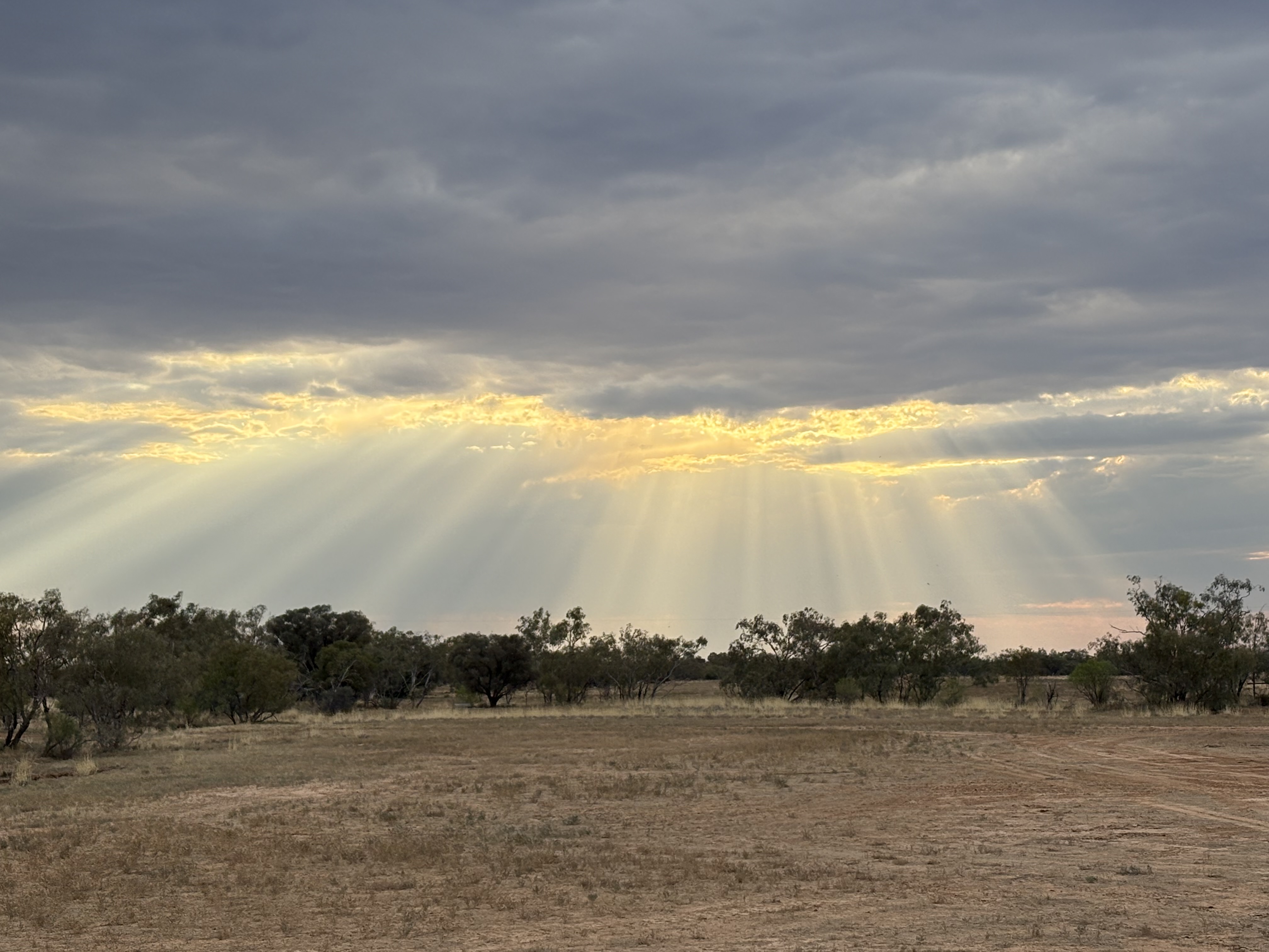 Upload a picture (optional)